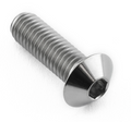M6x16 LENTIL HEAD BOLT