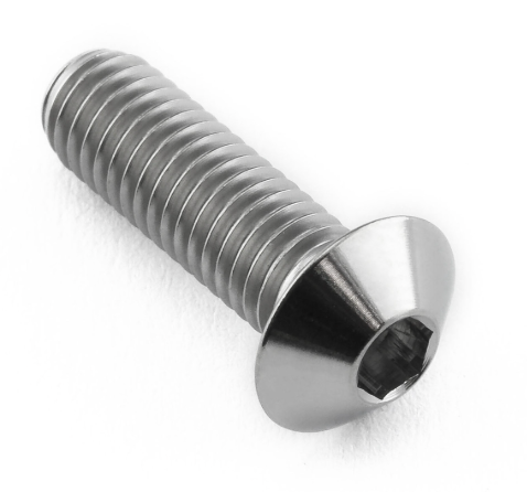 M2x8 LENTIL HEAD BOLT