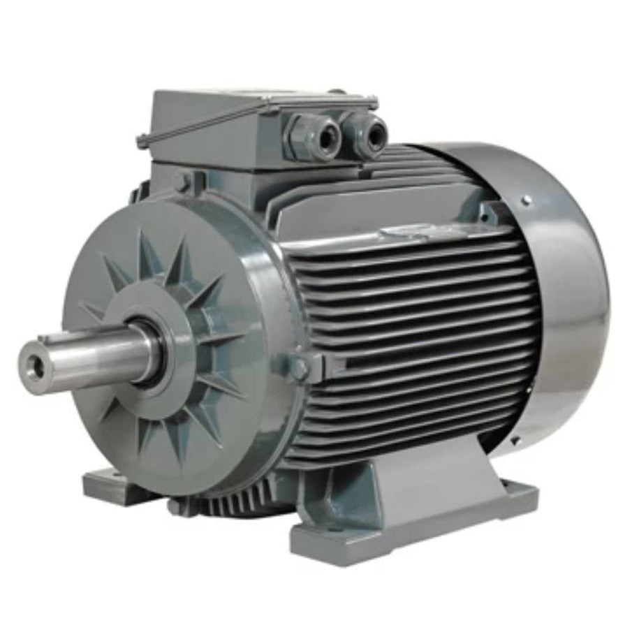 DK 1000 - 5_5 KW ELECTRIC MOTOR
